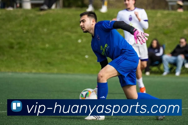 环亚体育VIP发展历程